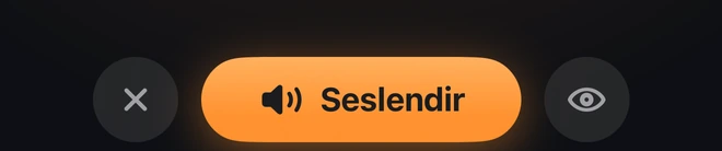 WORLD modundaki “Seslendir” düğmesi
