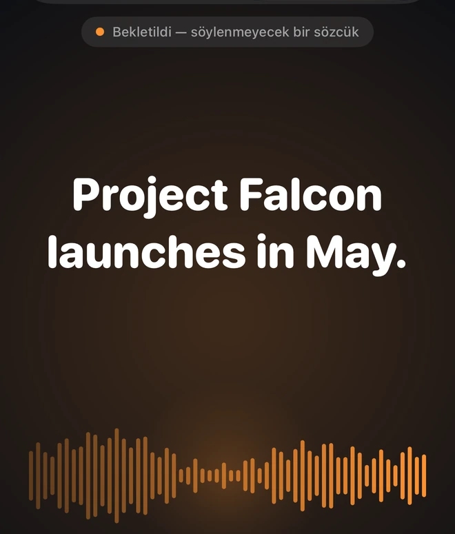 Söylenmeyecekler listenizde: Falcon